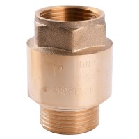 Клапан зворотного ходу води PROFESSIONAL 1" НВ QP100MF